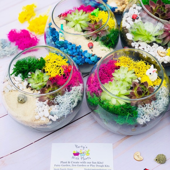 Other Succulent Terrarium Kit Cactus Terrarium Kit Diy Poshmark